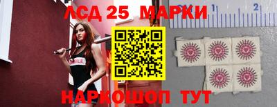 скорость Шелехов