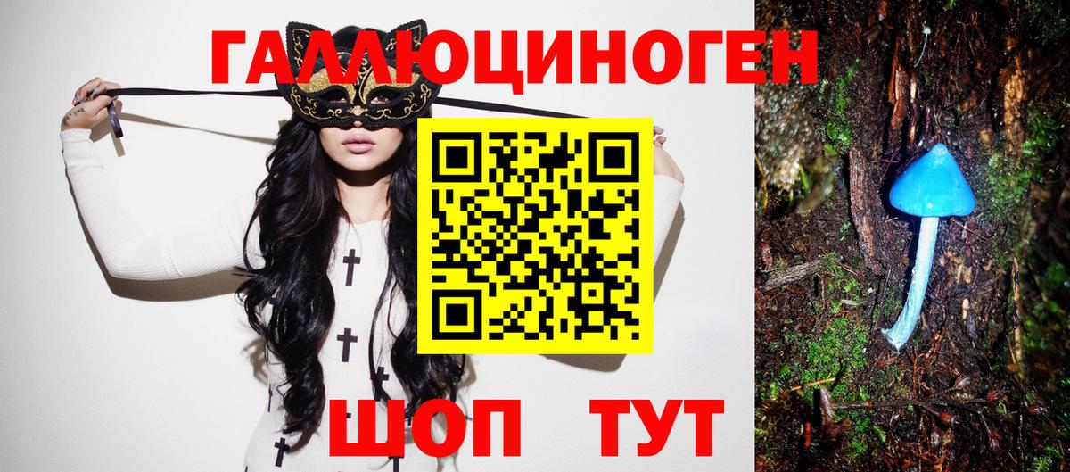 Псилоцибиновые грибы Psilocybe Борисоглебск